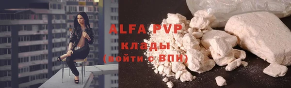 стаф Балахна