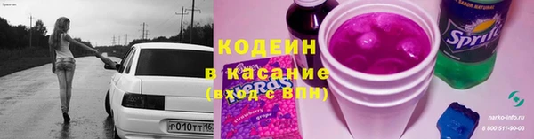 стаф Балахна