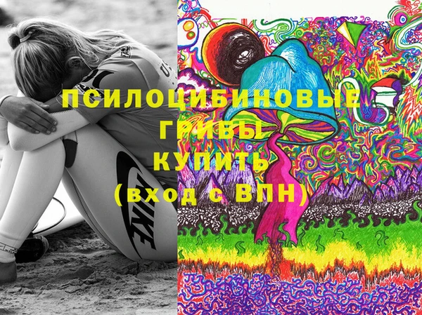 стаф Балахна