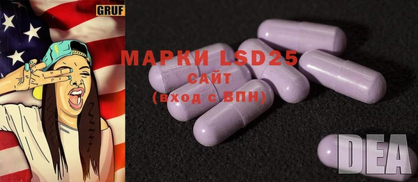 стаф Баксан