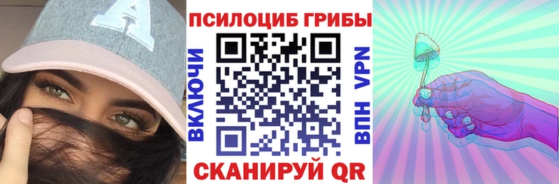 Псилоцибиновые грибы мицелий  купить наркоту  Ладушкин 
