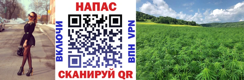 kraken маркетплейс  Ладушкин  МАРИХУАНА план 